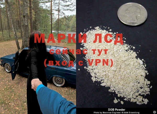 эйфоретик Нея