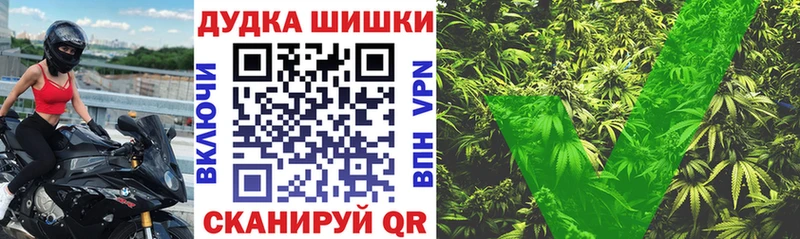 ссылка на мегу   Кологрив  Каннабис индика 